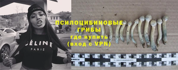 гидра Бородино