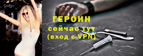 гидра Бородино