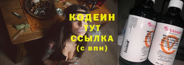 гидра Бородино