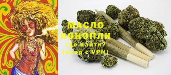 гидра Бородино