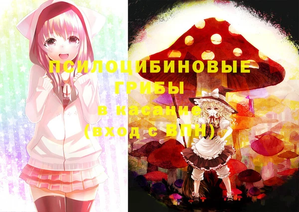 гашиш Богородицк