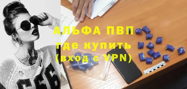 гидра Бородино