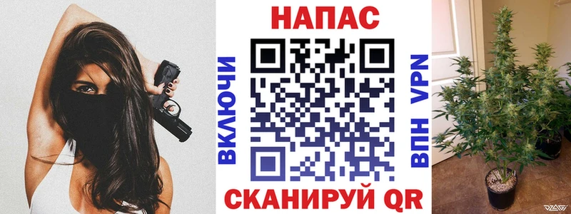 Бошки Шишки SATIVA & INDICA  Оренбург 